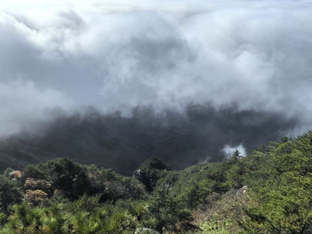 天岳幕阜山森林公园旅行图片 2