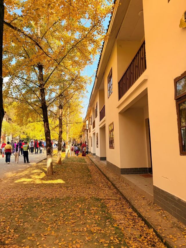 南雄帽子峰旅游景区旅行图片 3