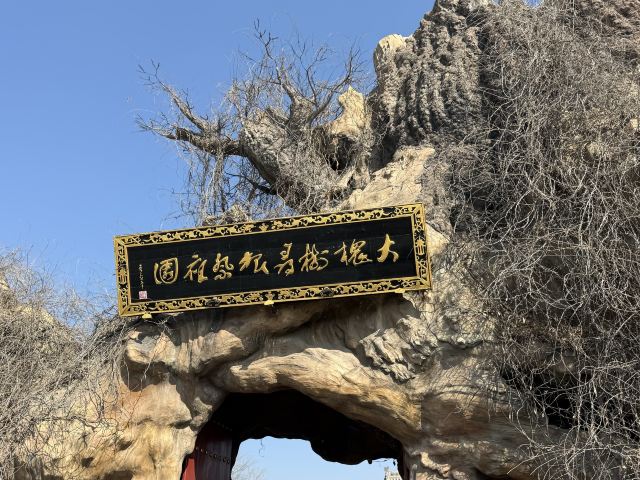 洪洞大槐树寻根祭祖园旅行图片 1