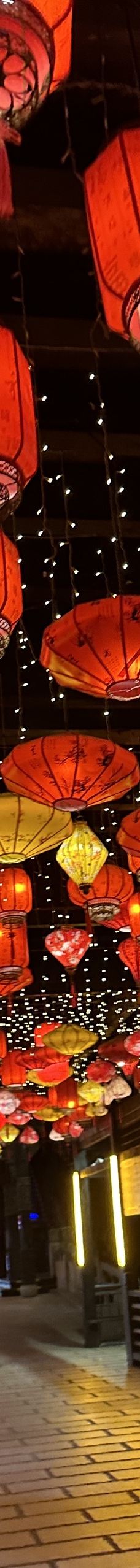 中国春秋淹城旅游区-常州-雷雷菲菲鲁鲁