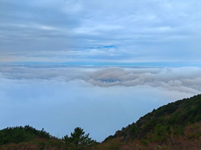 天岳幕阜山森林公园旅行图片 6