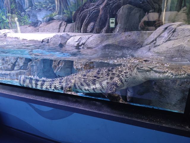 中国·江豚湾旅行图片 8