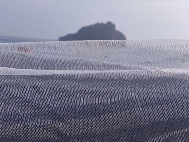 棒棰岛旅行图片 2