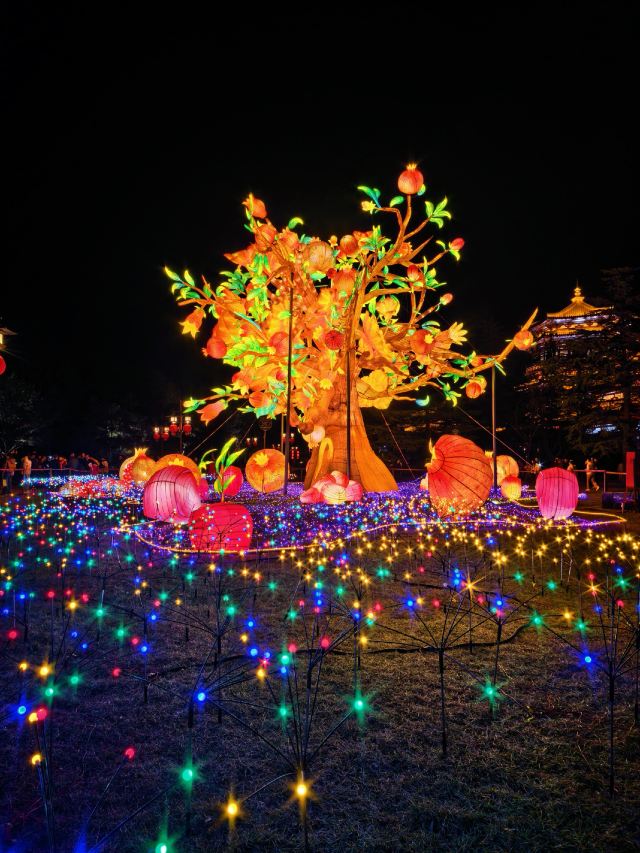 大唐芙蓉园旅行图片 1