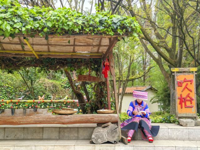 云南民族村旅行图片 4