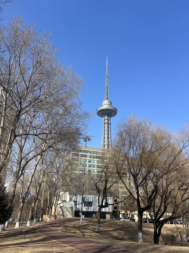 龙塔旅行图片 5