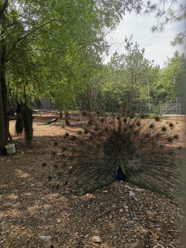 圣境花谷旅行图片 3