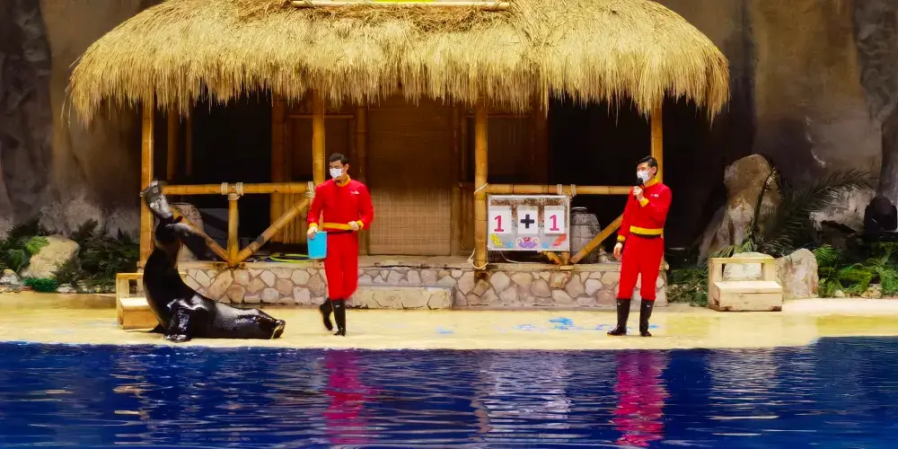 永安旅遊