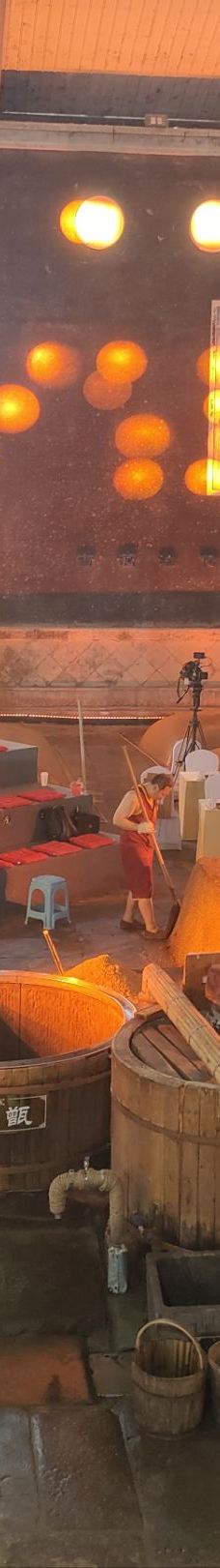 泸州老窖景区-泸州-韦尔特海姆陈平