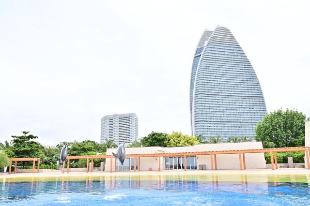 三亚亚特兰蒂斯景区旅行图片 4