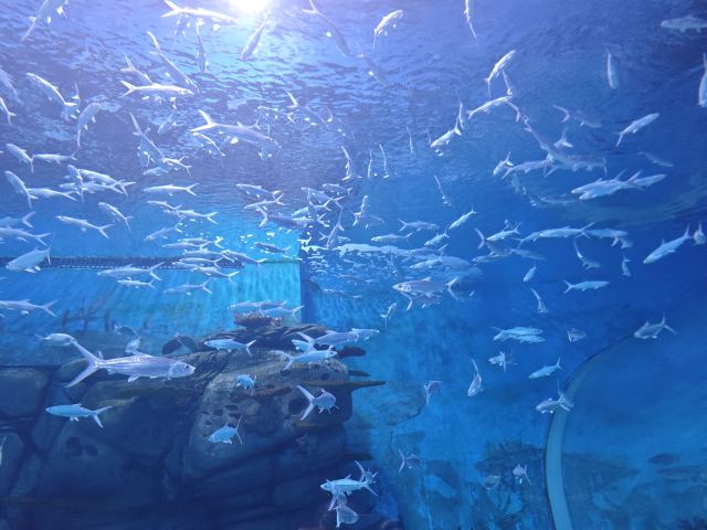 中国·江豚湾旅行图片 9