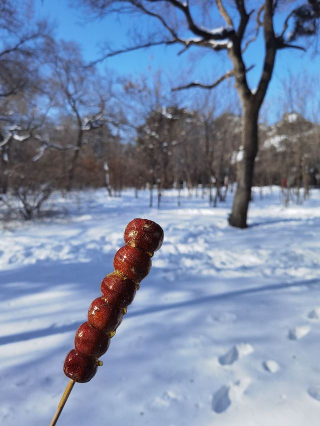 北陵公园旅行图片 3