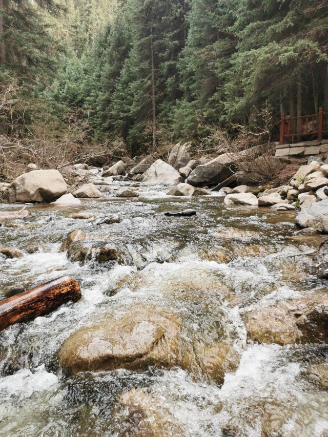 焉支山(暂停开放)旅行图片 5