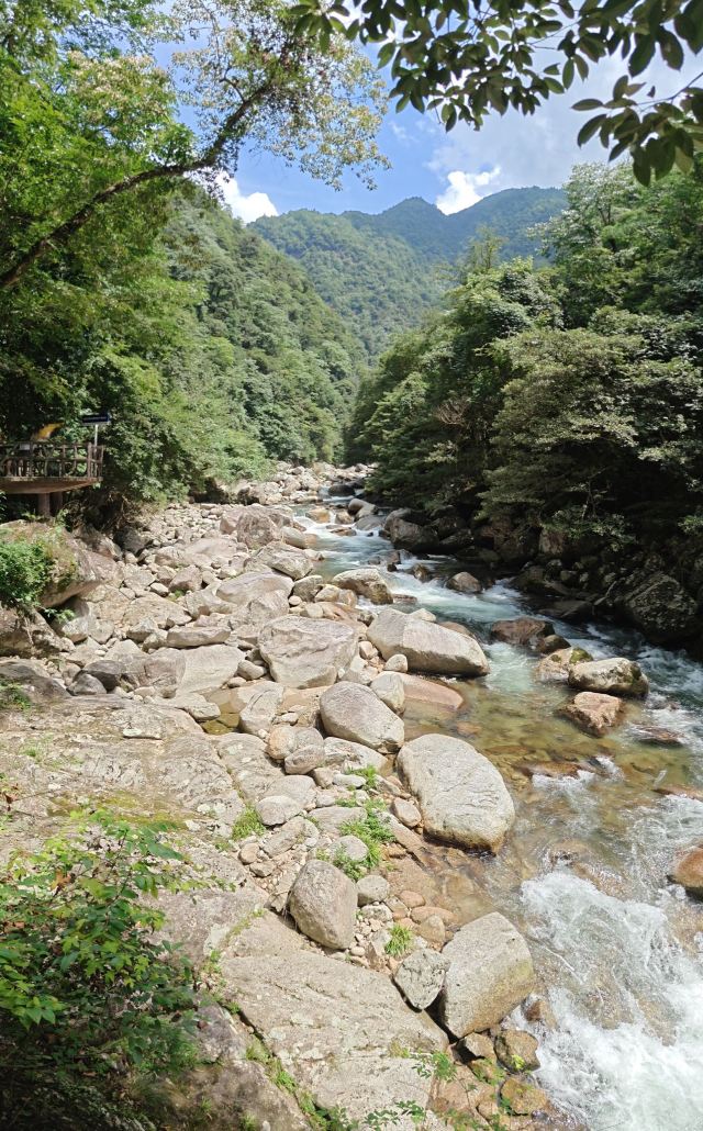 炎陵县神农谷国家森林公园旅行图片 3