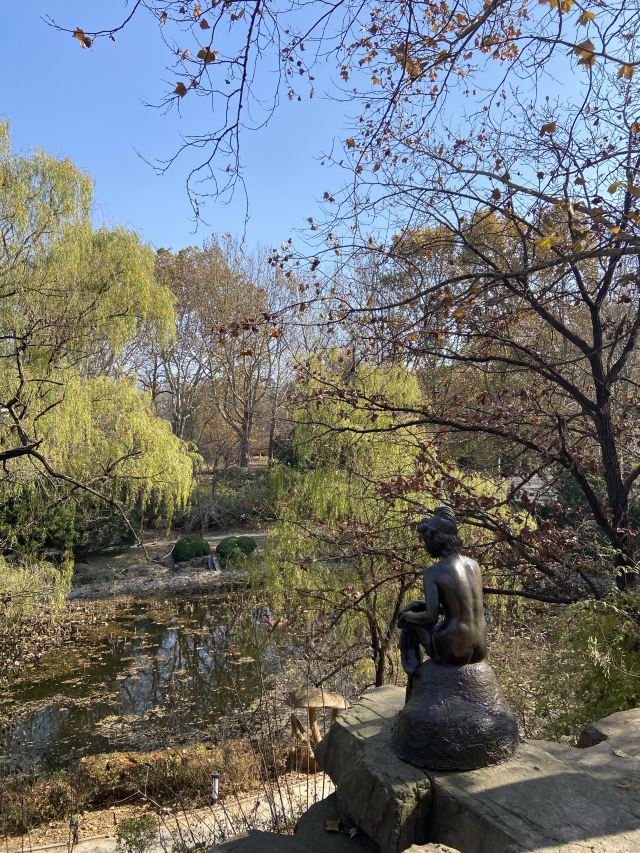 棒棰岛旅行图片 8