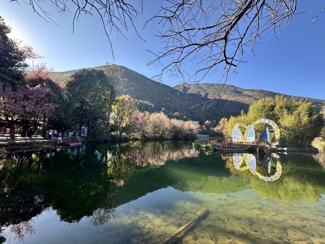 蝴蝶泉旅行图片 1