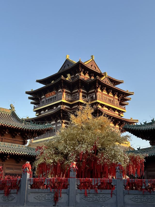 溱洧水城旅行图片 2
