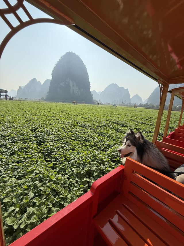 旧州景区旅行图片 1