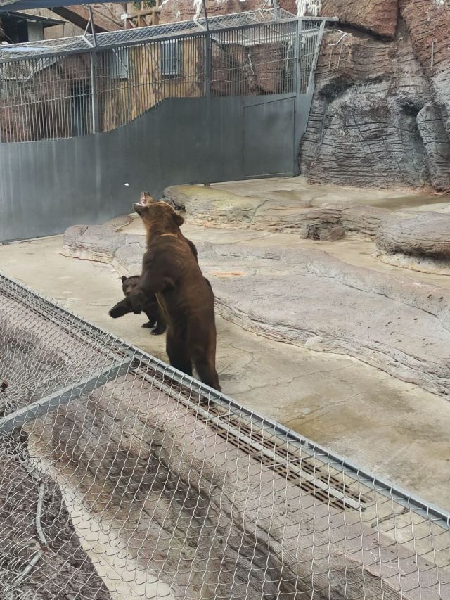 福州欧乐堡海洋世界旅行图片 3