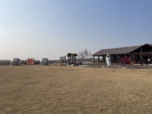 上海东滩湿地公园旅行图片 3