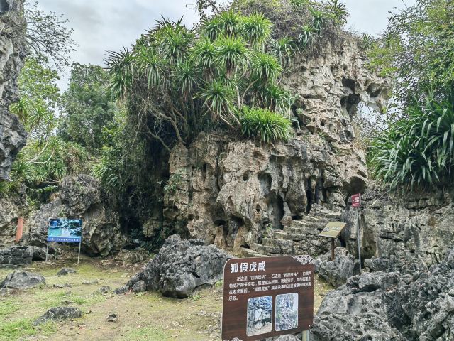 石景林景区旅行图片 3