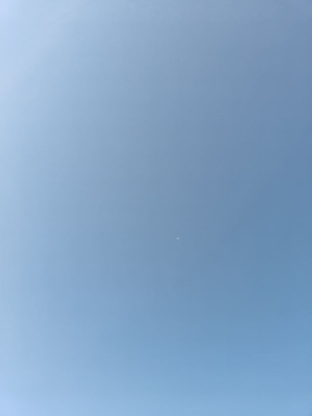 苏公塔旅行图片 6