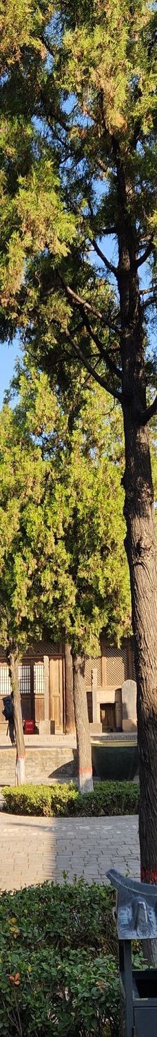 双林寺-平遥-田野