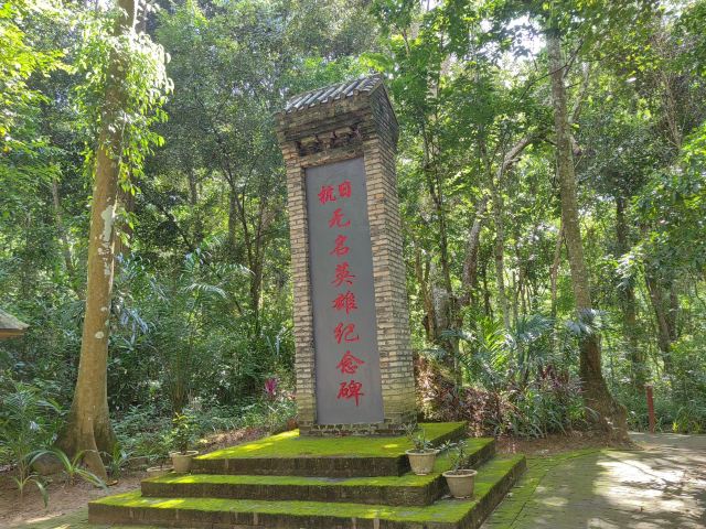 西双版纳独树成林景区旅行图片 3