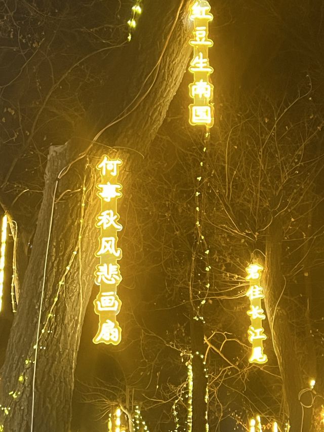 秦皇求仙入海处旅行图片 7