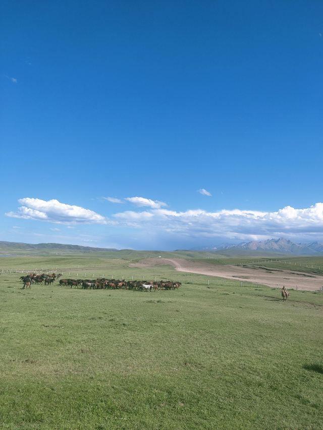 山丹皇家马场景区(暂停开放)旅行图片 3