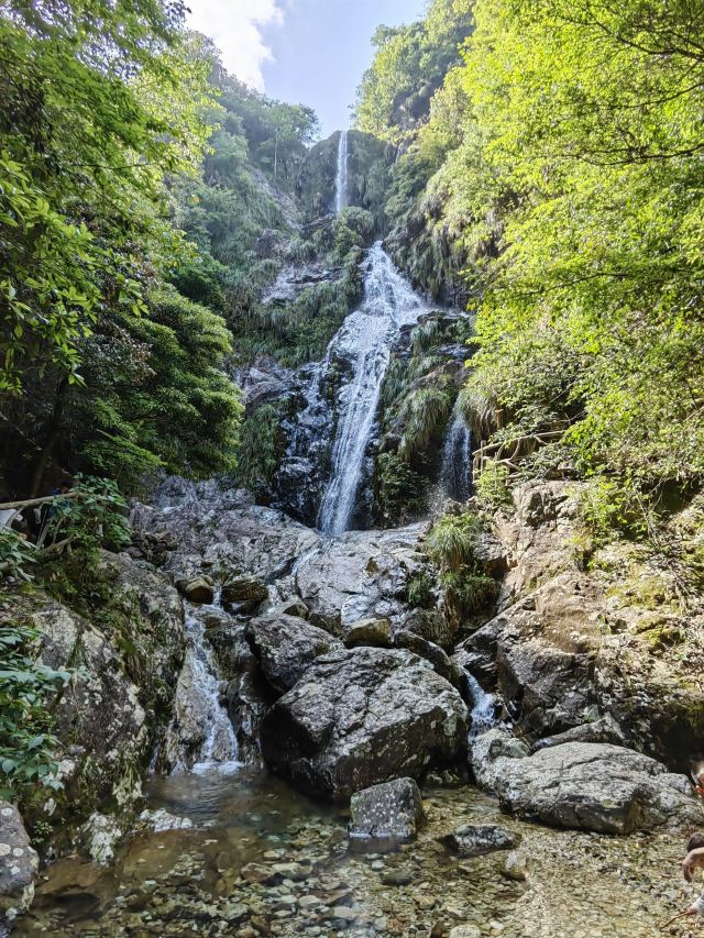 箬寮原始森林旅行图片 3