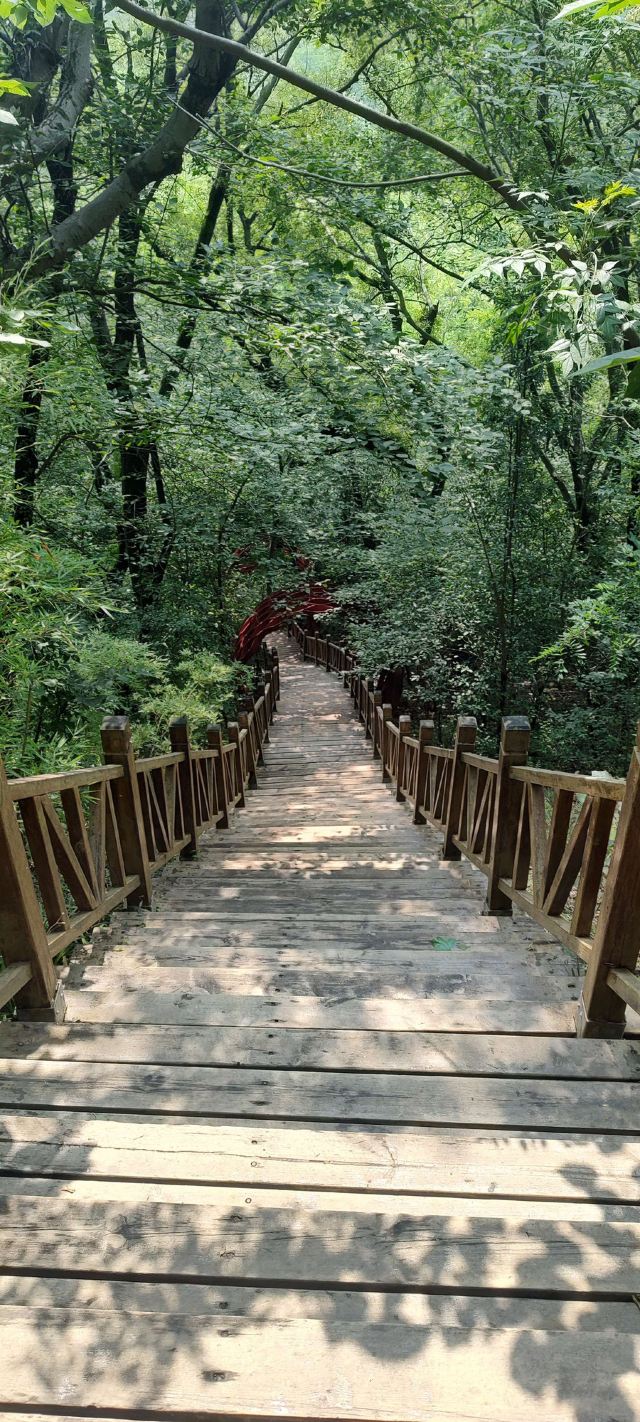 铁山寺国家森林公园旅行图片 1