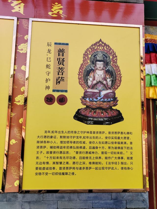 成山头国家重点风景名胜区旅行图片 1