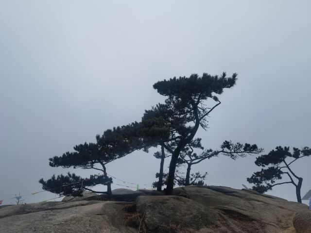 沂蒙山旅游区旅行图片 3