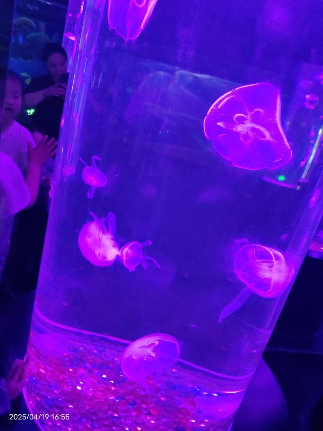 曲江海洋极地公园旅行图片 2