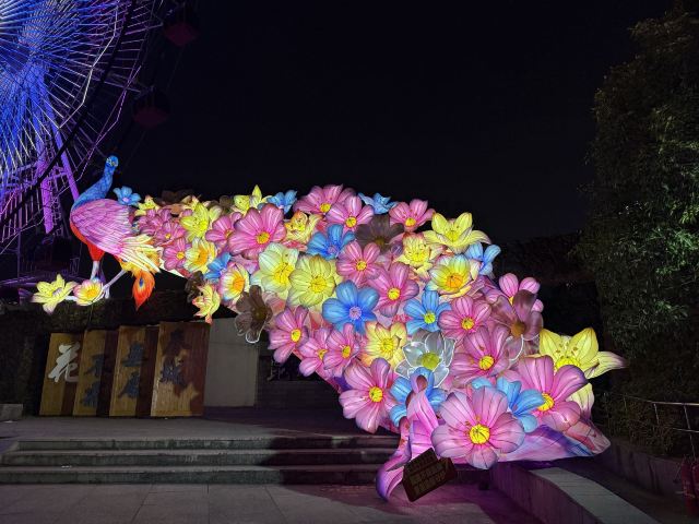 武汉园博园旅行图片 5