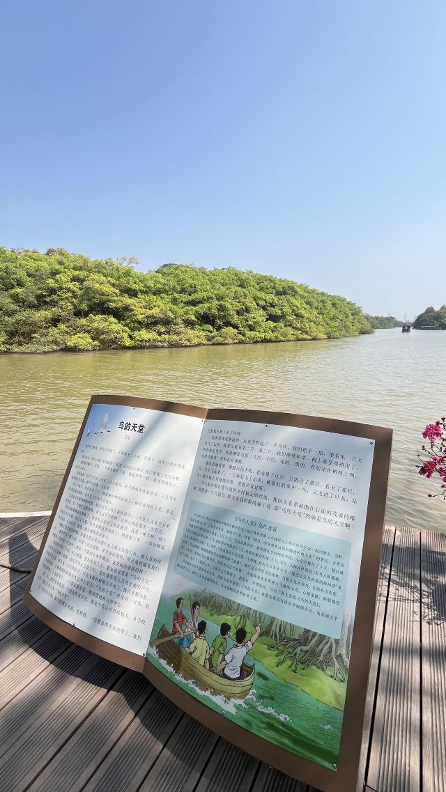 小鸟天堂旅行图片 4