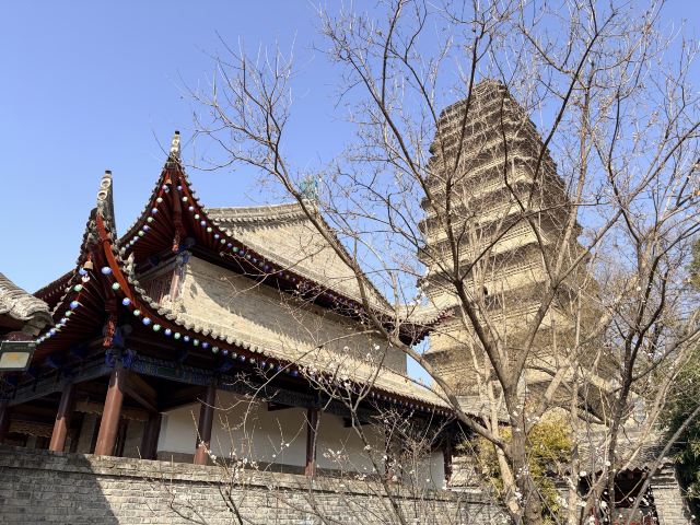 西安博物院旅行图片 2