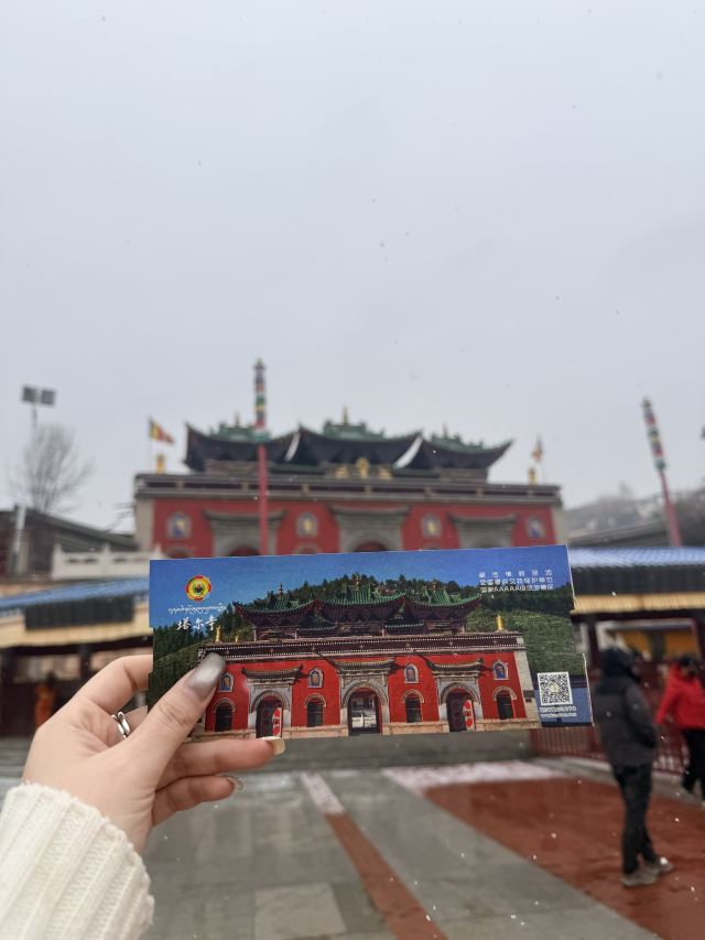 塔尔寺旅行图片 2