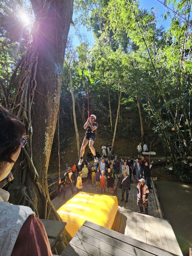 基诺山雨林徒步旅行图片 2