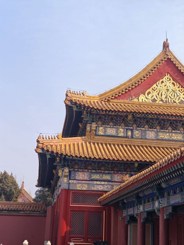 故宫博物院旅行图片 5