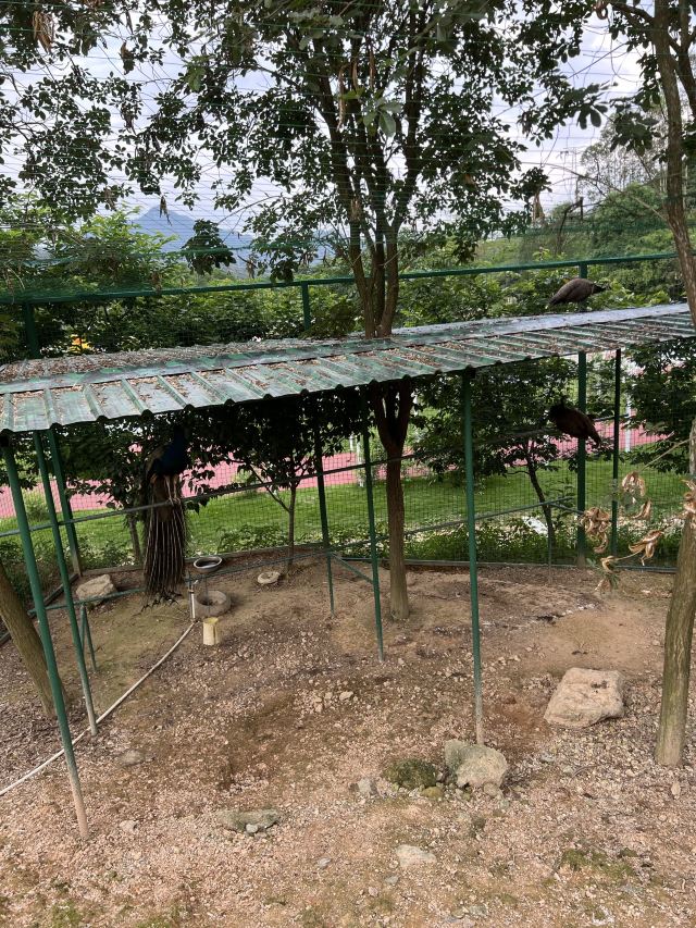 蜗牛村旅行图片 1