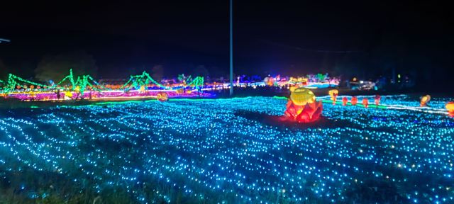 武汉野生动物王国旅行图片 2