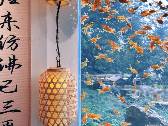 啬园旅行图片 5