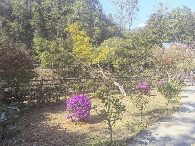 南雄帽子峰旅游景区旅行图片 7