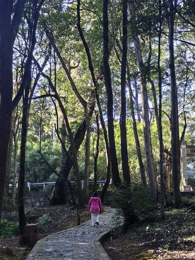 鸡足山旅行图片 2