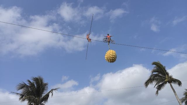 世界热带水果之窗(海南盛大共享农庄)旅行图片 1