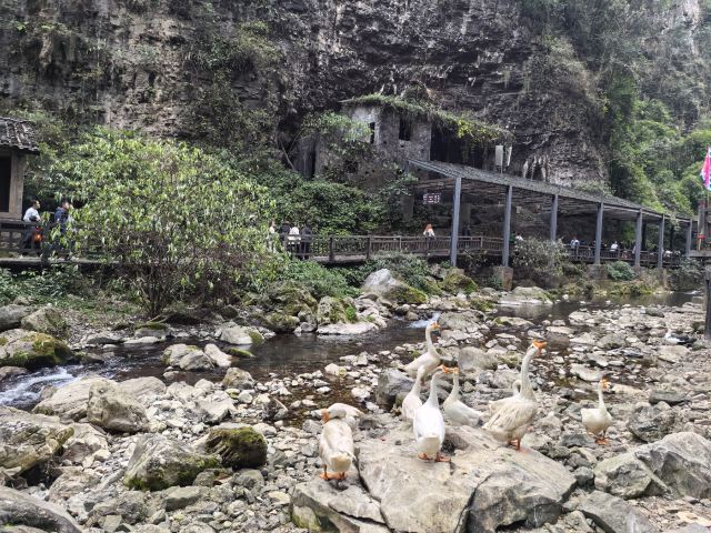 三峡人家风景区旅行图片 4