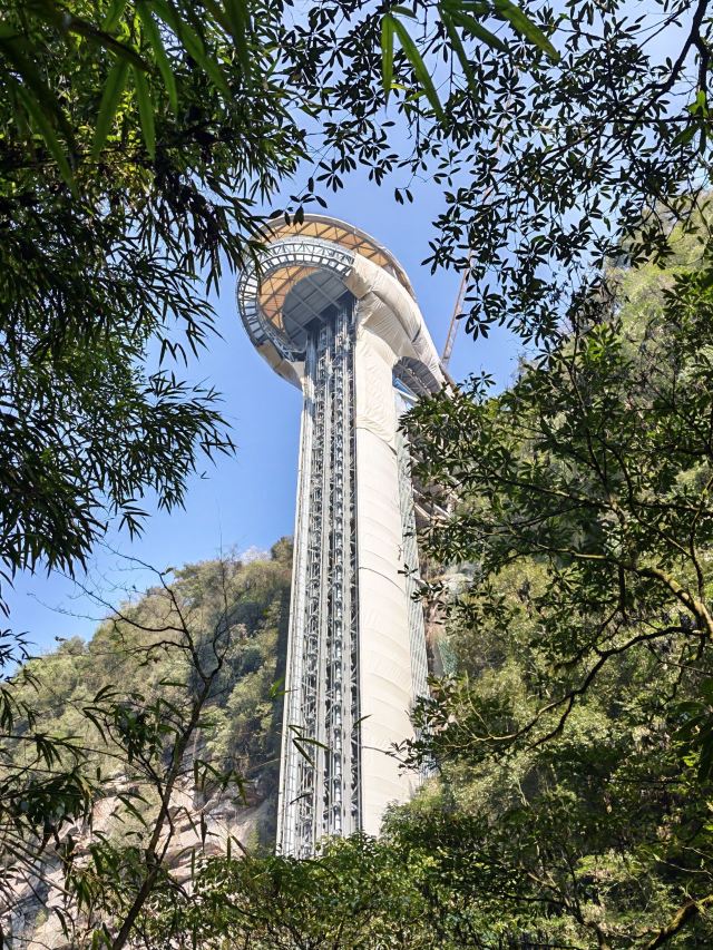 碧峰峡风景区旅行图片 1