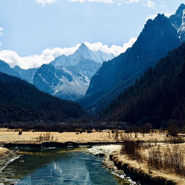 甘孜稻城亚丁景区旅行图片 3